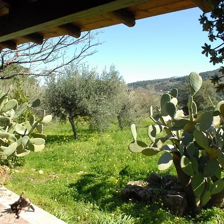 Chalet Parco Delle Madonie * Cefalu